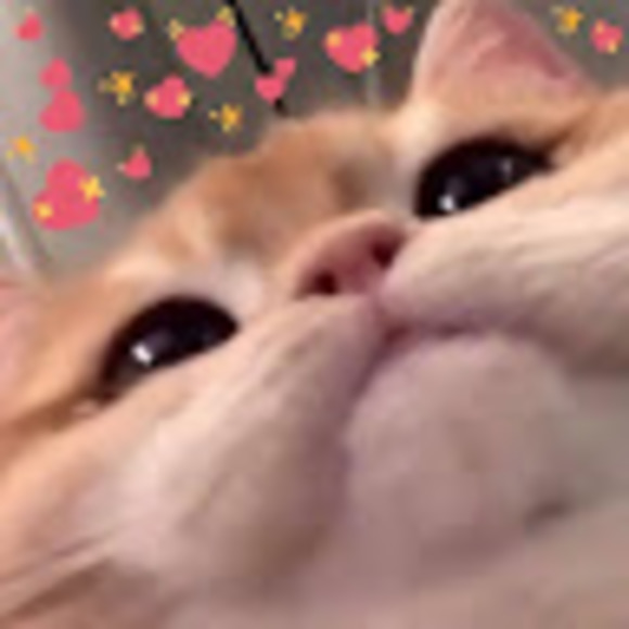 mimisenpai